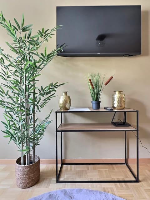 TV and multimedia, Decorative detail