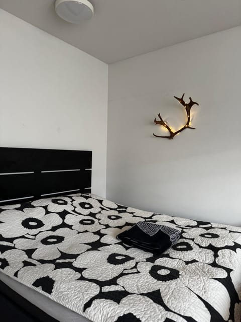 2 hengen unikkosuite Apartment in Rovaniemi