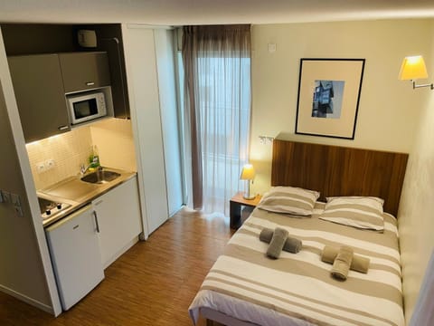 Studio Harmonie Confluence Lyon City et piscine chauffante Apartment in Lyon