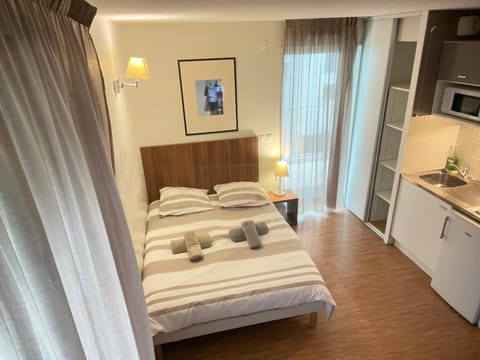 Studio Harmonie Confluence Lyon City et piscine chauffante Apartment in Lyon