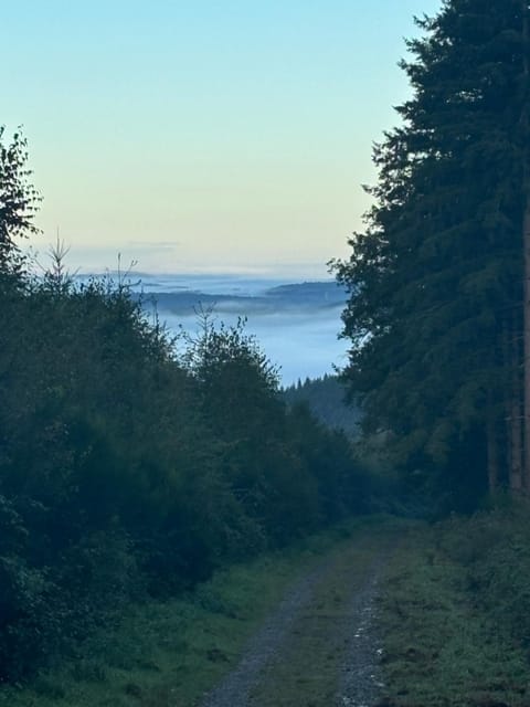 Natural landscape