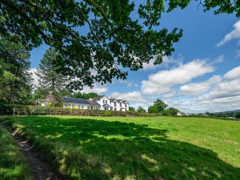 Day, Natural landscape, Garden