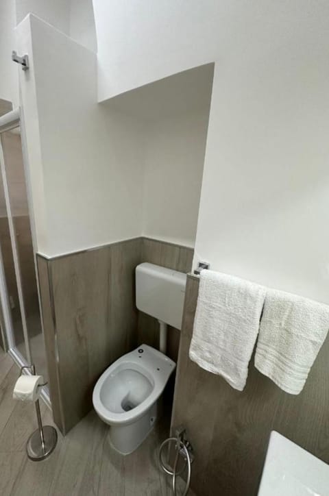 Toilet, Bathroom, bidet, towels