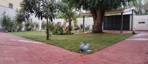 Spring, Day, Natural landscape, Garden, Garden view