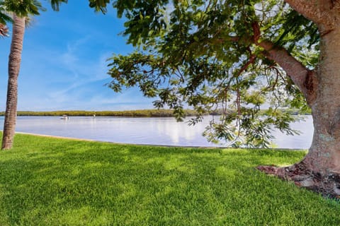 Dolphin and Manatee Cove Condo Beach Access and More! Apartment in Ruskin