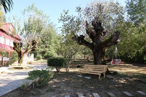 Natural landscape, Garden, Garden view