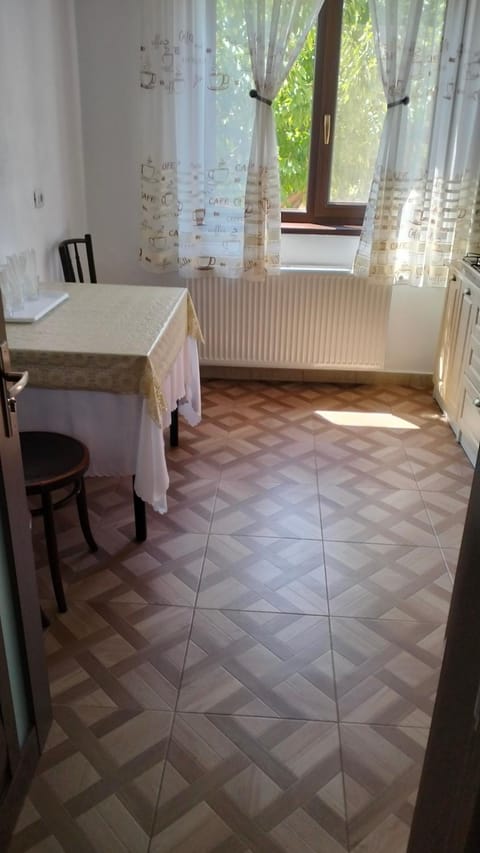 Vila Aurora Bed and Breakfast in Craiova