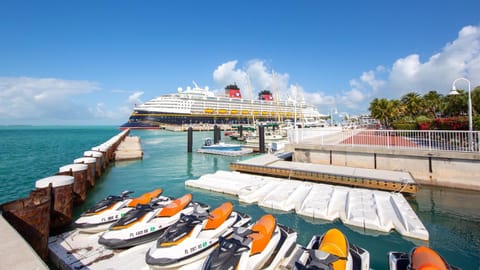 The Beaming Barracuda by Last Key Realty House in Key West