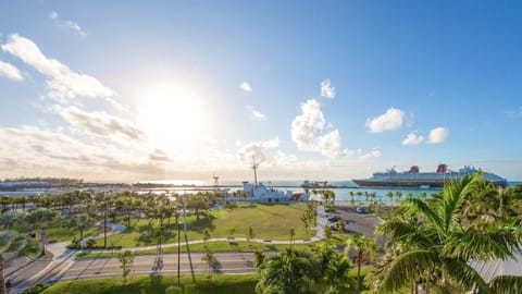 Diamond Girl by Last Key Realty House in Key West