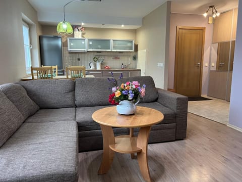Kitchen or kitchenette, Living room, Seating area, Dining area