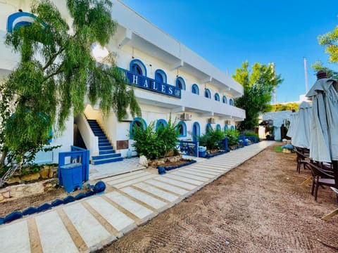 Property building, Garden, Garden view