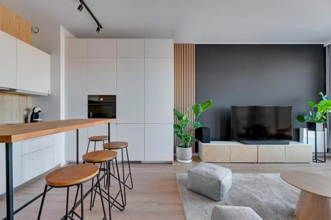 Kitchen or kitchenette, Living room, Seating area, Dining area, oven, stove