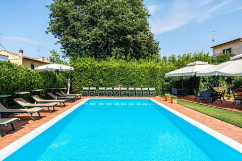 Swimming pool, Swimming pool, sunbed