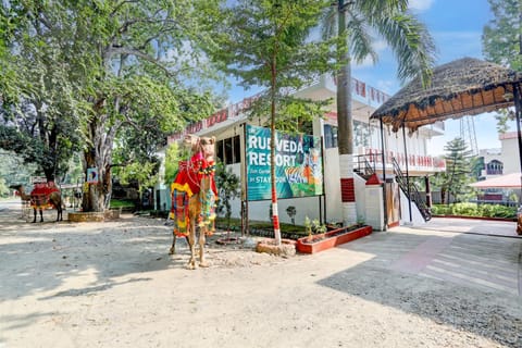 Neighbourhood, Street view
