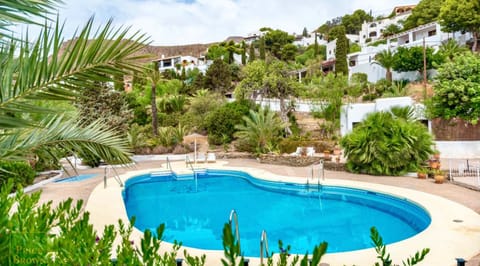 Pool view, sunbed