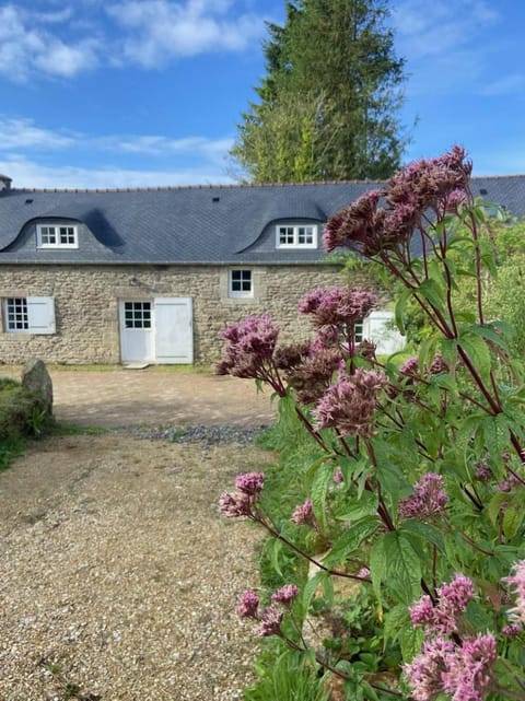 Property building, Garden, Garden view