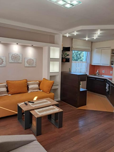 Kitchen or kitchenette, Living room, Seating area, stove