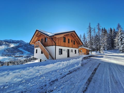 Almhaus Hochenwarter Apartment in Friuli-Venezia Giulia