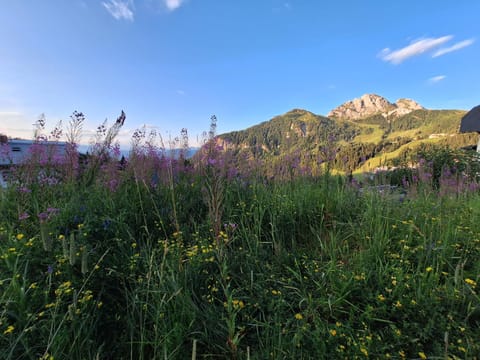 View (from property/room), Mountain view