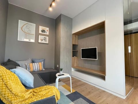 TV and multimedia, Living room, Decorative detail, Seating area, Evening entertainment