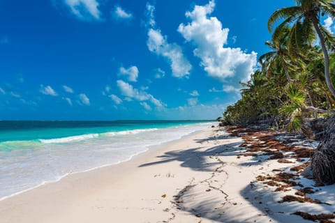 Natural landscape, Beach, Sea view