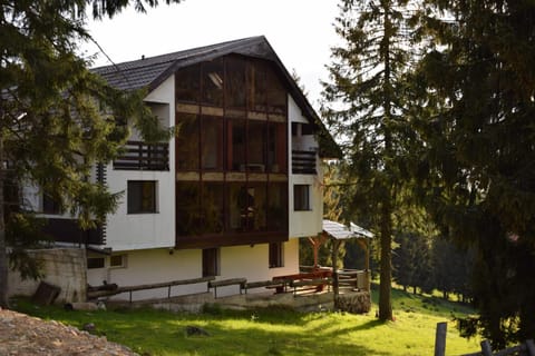 Property building, Day, Natural landscape