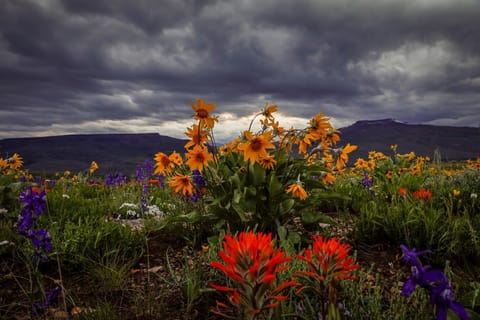 Academy Place | Mariposa House in Crested Butte