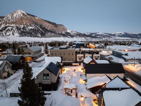Academy Place | Bluebell House in Crested Butte