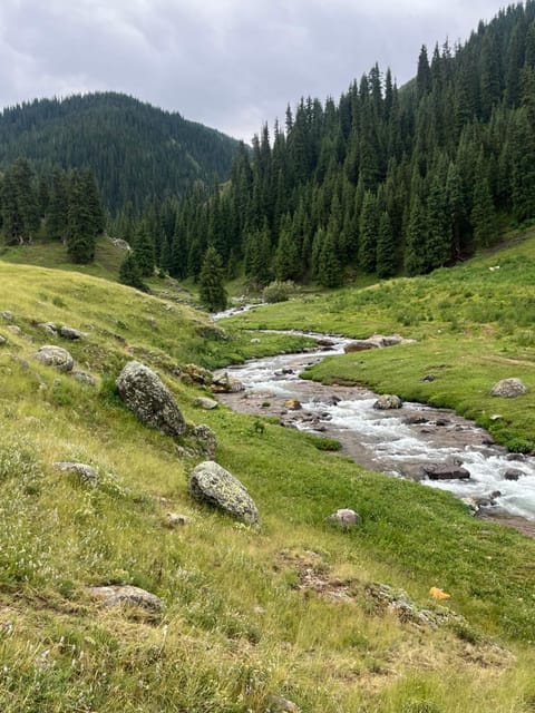 Property view