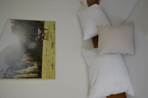 Pension Egg'spresso Bed and Breakfast in Vorarlberg, Austria