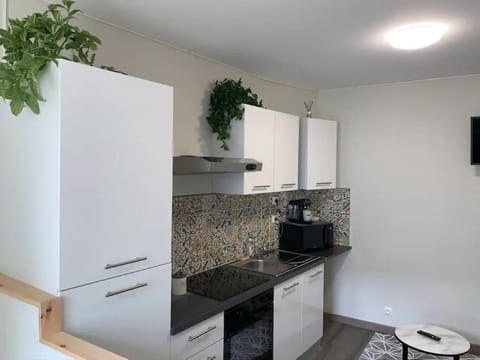 minibar, oven, stove