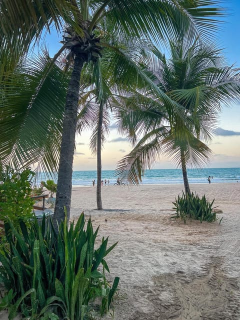 Natural landscape, Beach, Sea view