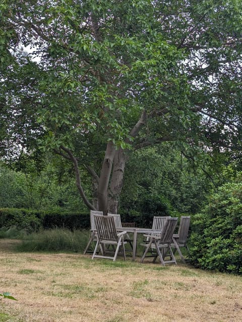 Lejlighed ved skov Apartment in Zealand