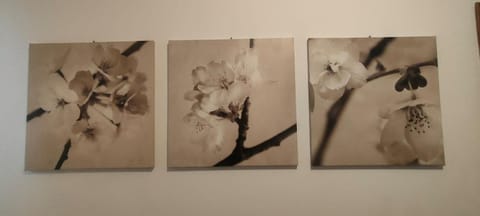 Casa Mina House in Como