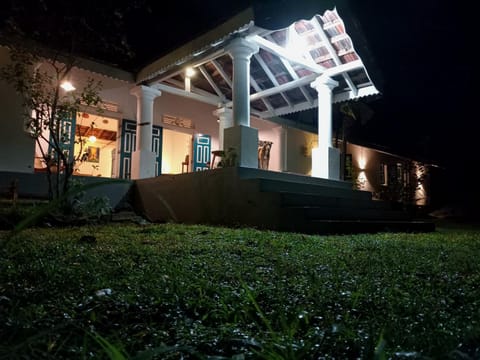 Night, Garden view