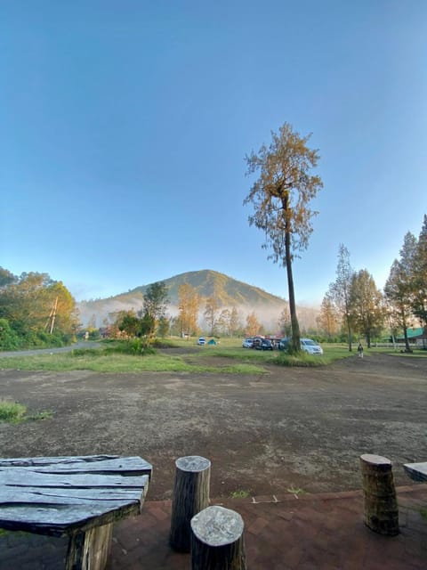 Day, Natural landscape, Mountain view