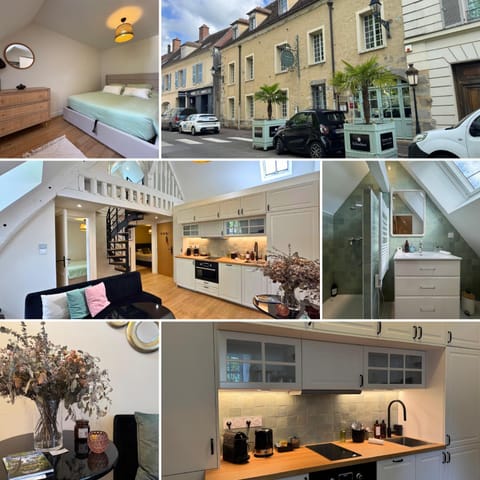 La Petite Orangerie - near castle Apartment in Île-de-France