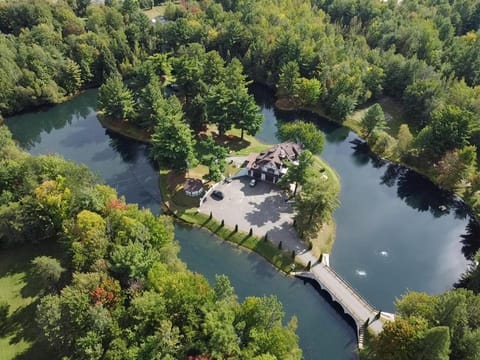 Bird's eye view, Lake view