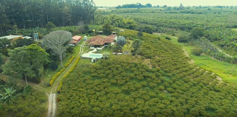 Day, Natural landscape, Bird's eye view, Garden, Garden view