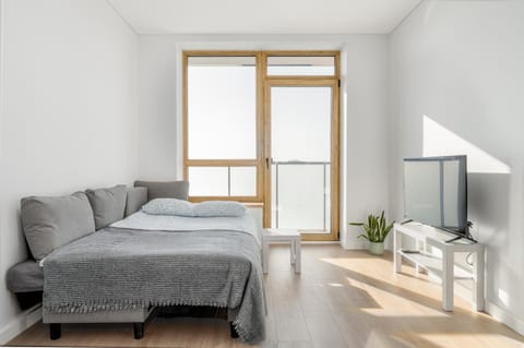 Two room Apartment - self check-in Apartment in Vilnius