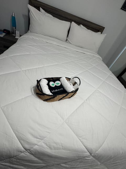 Great apartment in Valrico Apartment in Brandon