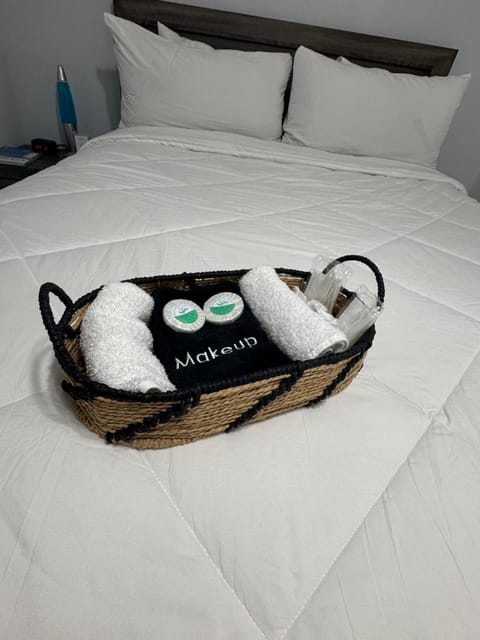 Great apartment in Valrico Apartment in Brandon