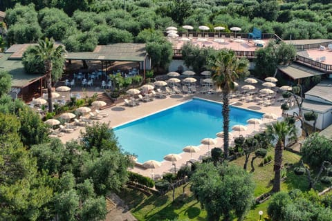 Day, Bird's eye view, Summer, Garden, Pool view, Swimming pool, sunbed