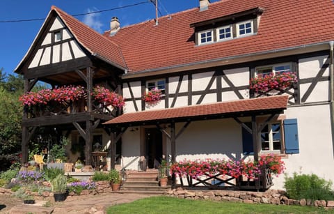 Property building, Day, Garden