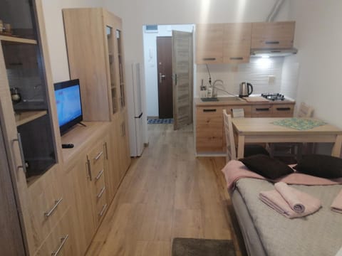 Bed, TV and multimedia, Kitchen or kitchenette, Photo of the whole room, Dining area, Bedroom, oven, stove, towels