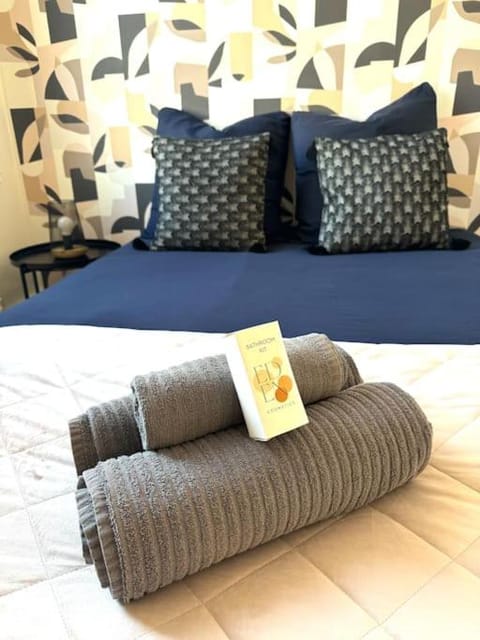 L'oasis Groupama stadium OL et LDLC Arena Apartment in Vaulx-en-Velin