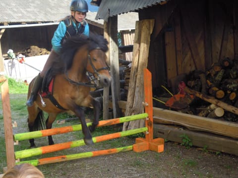 Ferienwohnung Freihof - Nassfeld Apartment in Friuli-Venezia Giulia