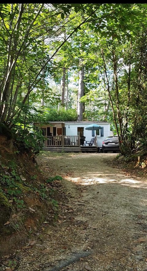 Spring, Day, Natural landscape, Garden view
