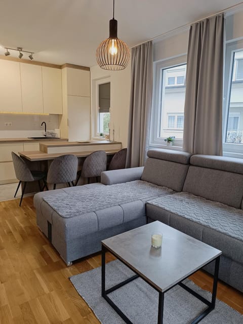 Kitchen or kitchenette, Living room, Seating area, Dining area