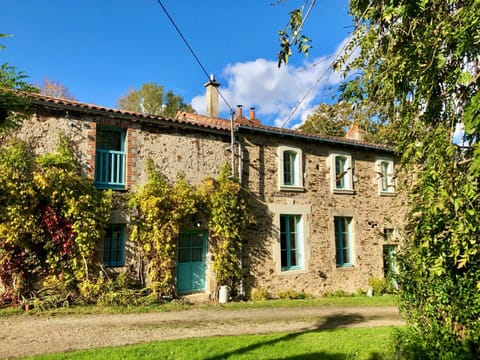 Property building, Garden view